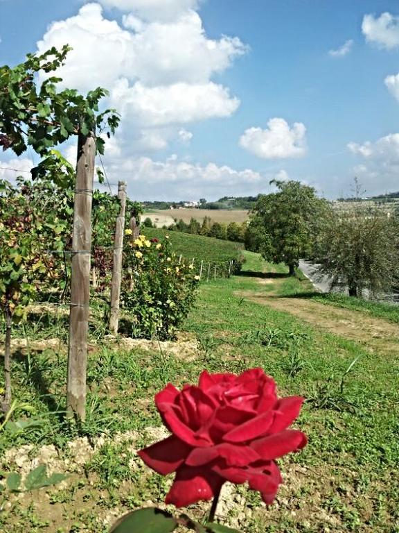 B&B Vigneto Pardom Montiglio Extérieur photo